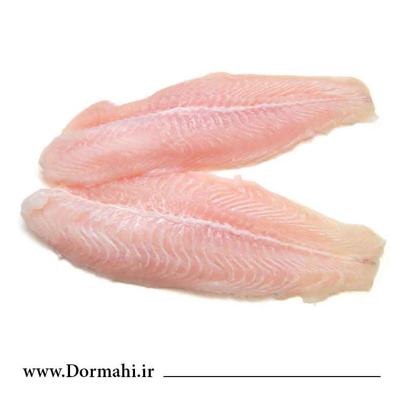 فیله-شوریده فیله ماهی شوریده